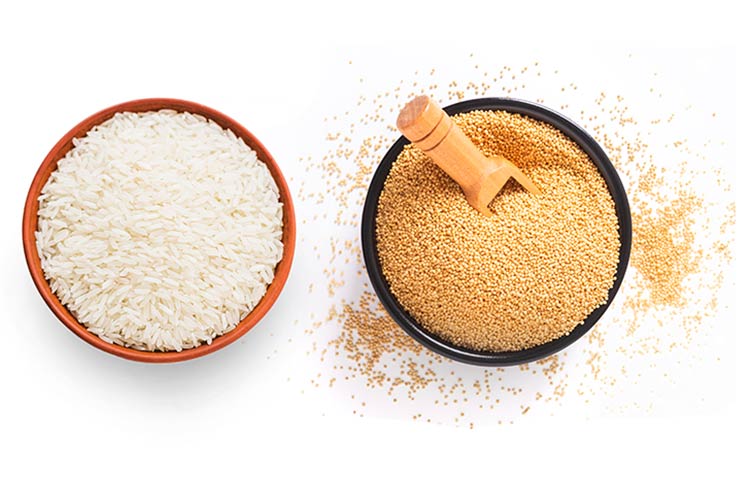 سبوس تخمیر برنج چیست