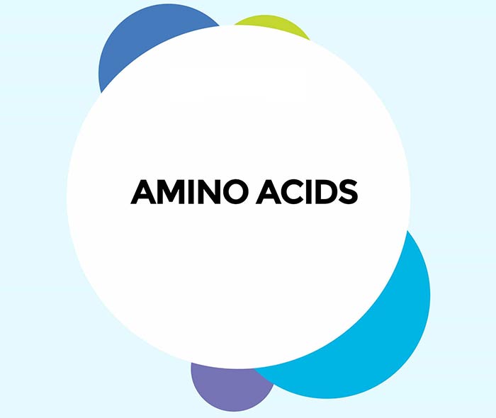 آمینو اسید چیست