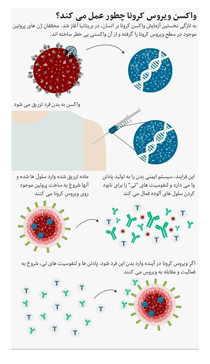 ویروس کرونا چگونه عمل می کند
